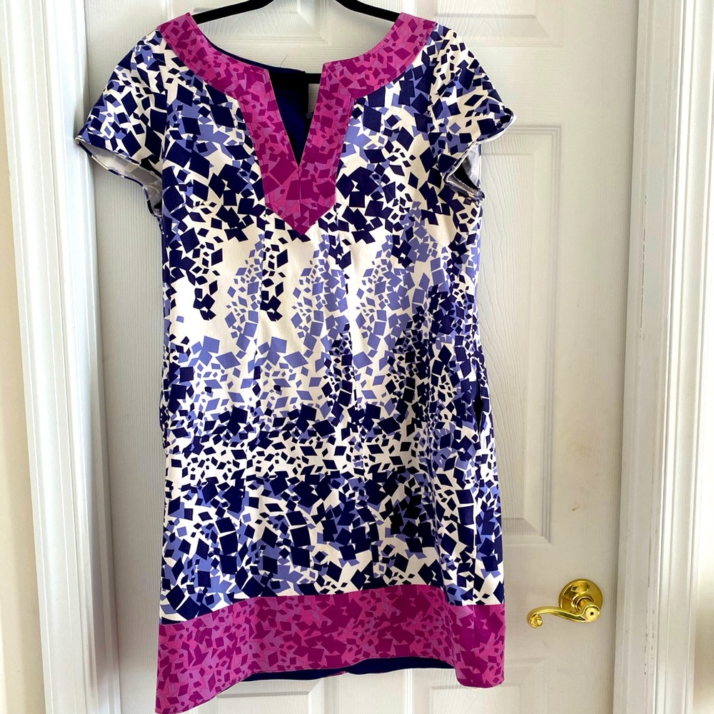 Women’s Adriana Pappel dress size 14